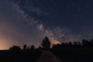 Wall Mural - milky way shining above a forest in switzerland