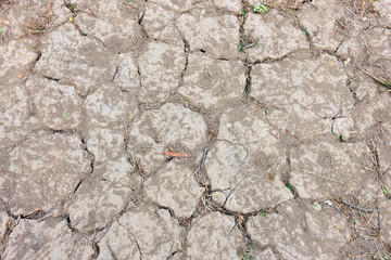 closeup dry soil background, top view