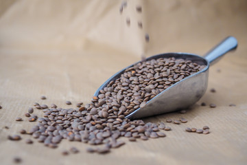 Wall Mural - Brown lentils in a metal scoop