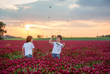 Fototapeta Kuchnia - Beautiful children in gorgeous crimson clover field on sunset