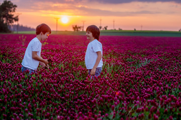 Canvas Print - Beautiful children in gorgeous crimson clover field on sunset