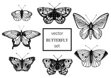 Vector Set Of Hand Drawn Black And White Butterflies. Engraving Retro Illustration. Realistic Insects Isolated On White Background. Detailed Graphic Drawing In Vintage Style