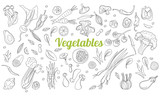 Fototapeta Desenie - Linear graphic. Vegetables background. Scandinavian style. Healthy food. Vector illustration. Hand drawn fruits and vegetables doodle set.