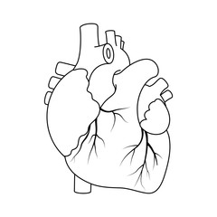 Black outline real heart