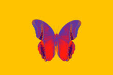 Pink Beautiful Butterfly On Yellow Background