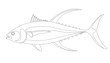 tuna fish, vector illustration,lining draw ,profile