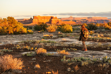 Poster - Hiker in Canyonlands National park, needles in the sky, in Utah, USA