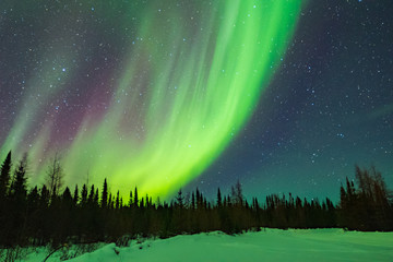 northern lights