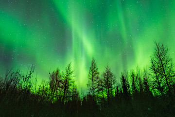 northern lights