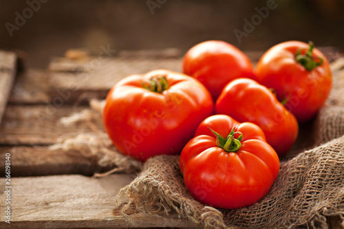 Cuadros en Lienzo Real tomatoes from their garden