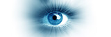 Fototapeta  - Blue eye of a woman. Eye in motion. Wide banner with a white background.