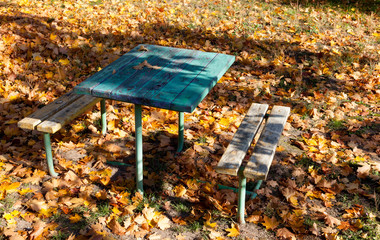 autumn bench forest