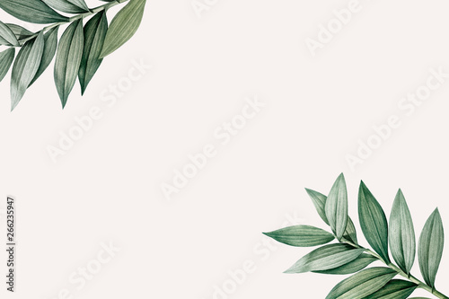 Fotografía Botanical themed design space