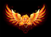 Fire Rose With Wings