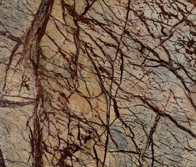  Natural Rain Forest Brown marble texture
