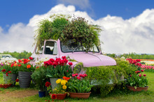 Flowers Composition With Pink Retro Car