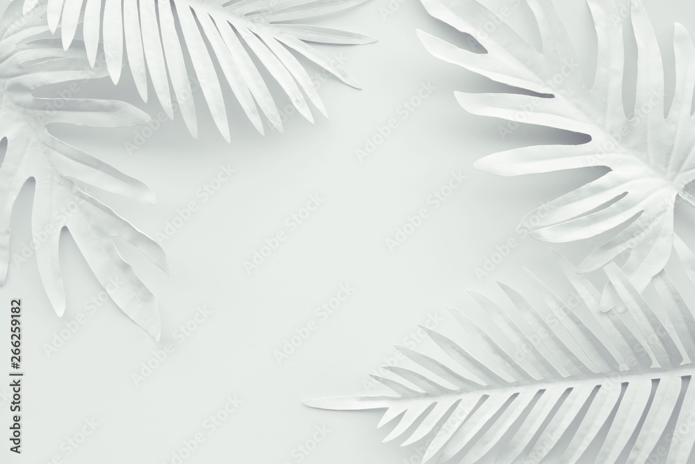 Collection of tropical leaves,foliage plant in white color with space background.Abstract leaf decoration design.Exotic nature art - obrazy, fototapety, plakaty 