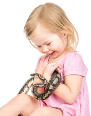 happy little girl playing with a python in her arms. isolated on white background