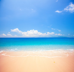 Poster - beach and tropical sea