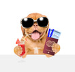 Funny puppy with sunglasses holds airline tickets, passport and tropical cocktail above white banner. isolated on white background