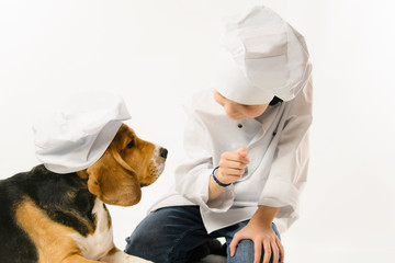 Wall Mural - funny boy in chef uniform and cute beagle dog in chef's cap cook dinner