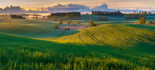 panorama of a beautiful, ecological farmland at sunrise. waved, green field, forest,windmills and mo