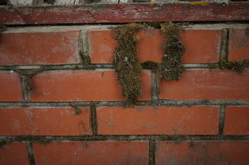 Brick wall. Red brick texture. Terracotta orange bricks. Background, background.