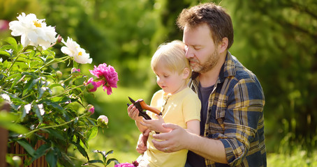 Wall Mural - Cute little boy with his father working together with secateur in domestic garden.