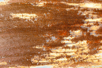 Poster - iron wall with rust. grunge texture. background for the designer. corrosion of metal