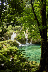  Rio con poza y cascada de agua cristalina en medio de un bosque tropicall