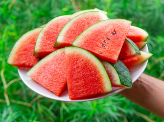 Hand holding plate with fresh juicy watermelon triangle slices, closeup