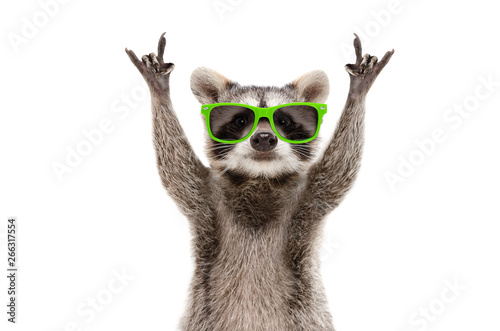 Photo Funny raccoon in green sunglasses showing a rock gesture isolated on white backg