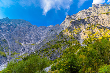 Wall Mural - Valley in Alps mountains near Koenigssee, Konigsee, Berchtesgaden National Park, Bavaria, Germany.