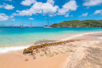 Poster - Princess Margaret beach, Bequia Island, Saint Vincent and the Grenadines.