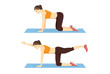 © logo3in1 - Woman doing bird dog plank exercise in left and right side. Illustration about workout position guide.