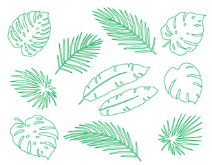 Wall Mural - hand drawn tropical set palm leaves and branches