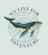 Vector Banner With Big Hand-drawn Whale On The Background Of Wind Rose And Old Map In Retro Style. Illustration On The Theme Of Travel, Adventure And Discovery With Words We Live For Adventure