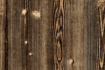 vintage grunge pine timber tree wood structure texture background