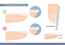 Professional Manicure Tutorial. The Perfect Nail Shape. How To File Nails The Right Way. Manicure Mistakes. Vector Illustration