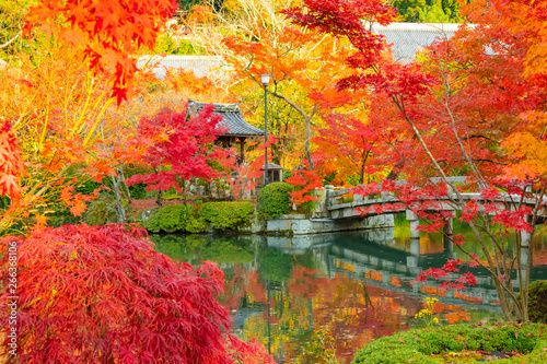 京都の紅葉　秋・観光