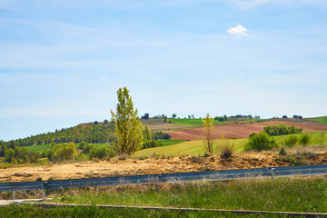 Wall Mural - Landscape in spring with fields full of brown and green colors