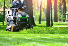 Green Grass Treeming With Lawn Mower