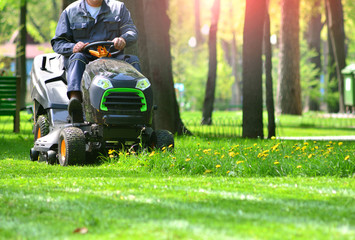 Green grass treeming with lawn mower