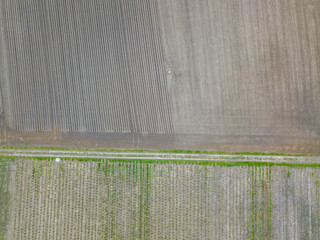 Canvas Print - Aerial view of agricultural field