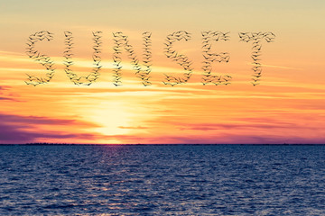 Wall Mural - beautiful sea sunset. the word sunset of the silhouettes of flying birds.