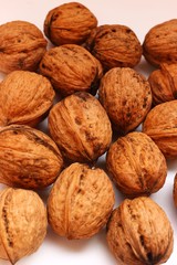 Wall Mural - Walnuts on a white background