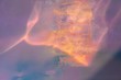 © Liliya Rodnikova/Stocksy - Abstract magic background with pastel traces on holographic background