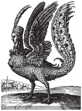 Vintage Engraving Of The Mythological Character Harpy