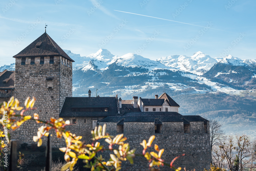 Obraz na płótnie Vaduz castle on snow mountains background w salonie