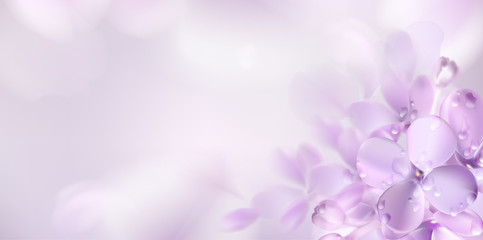 Floral spring background with purple lilac flowers